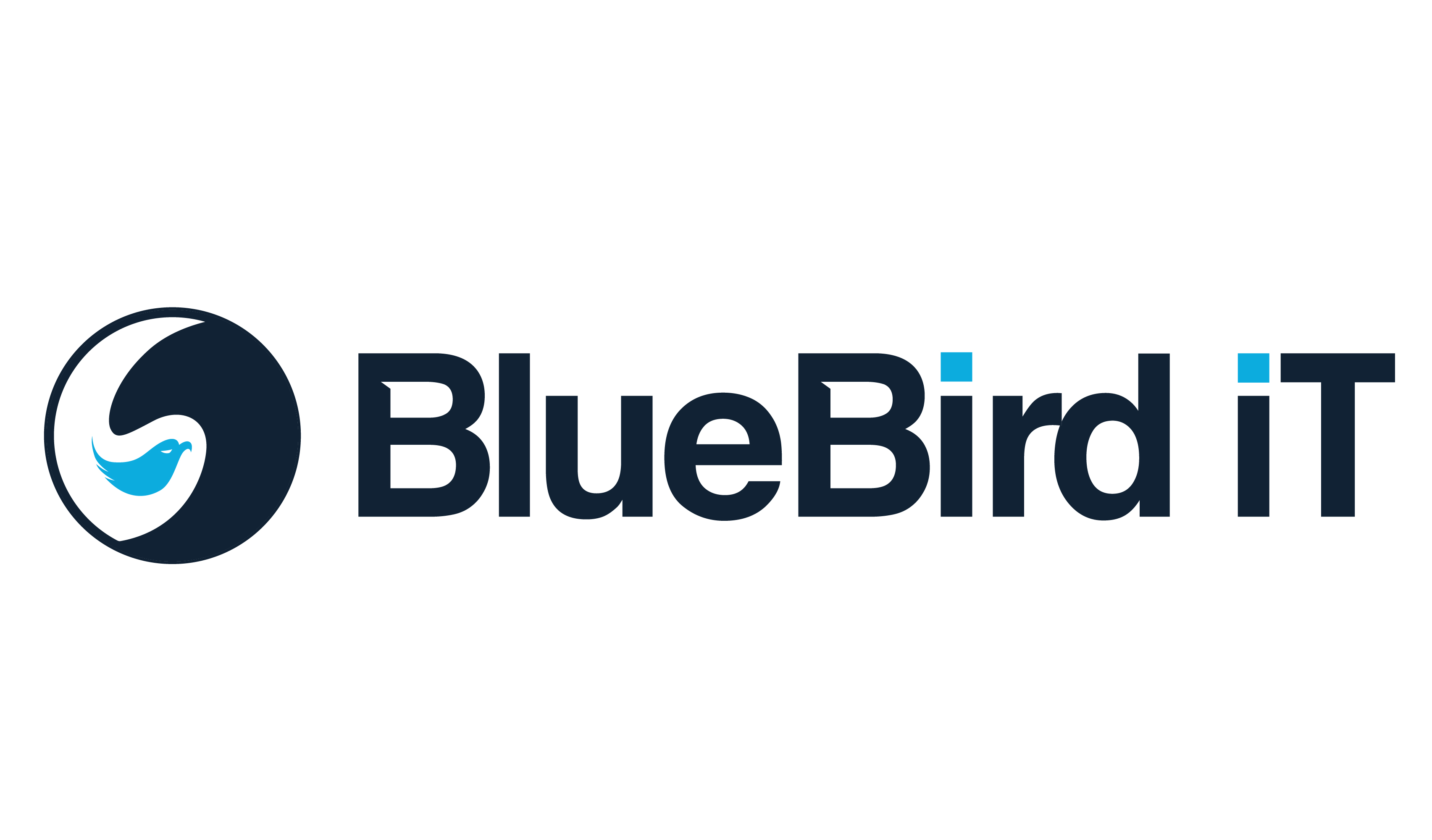 BlueBird_Logo.jpg