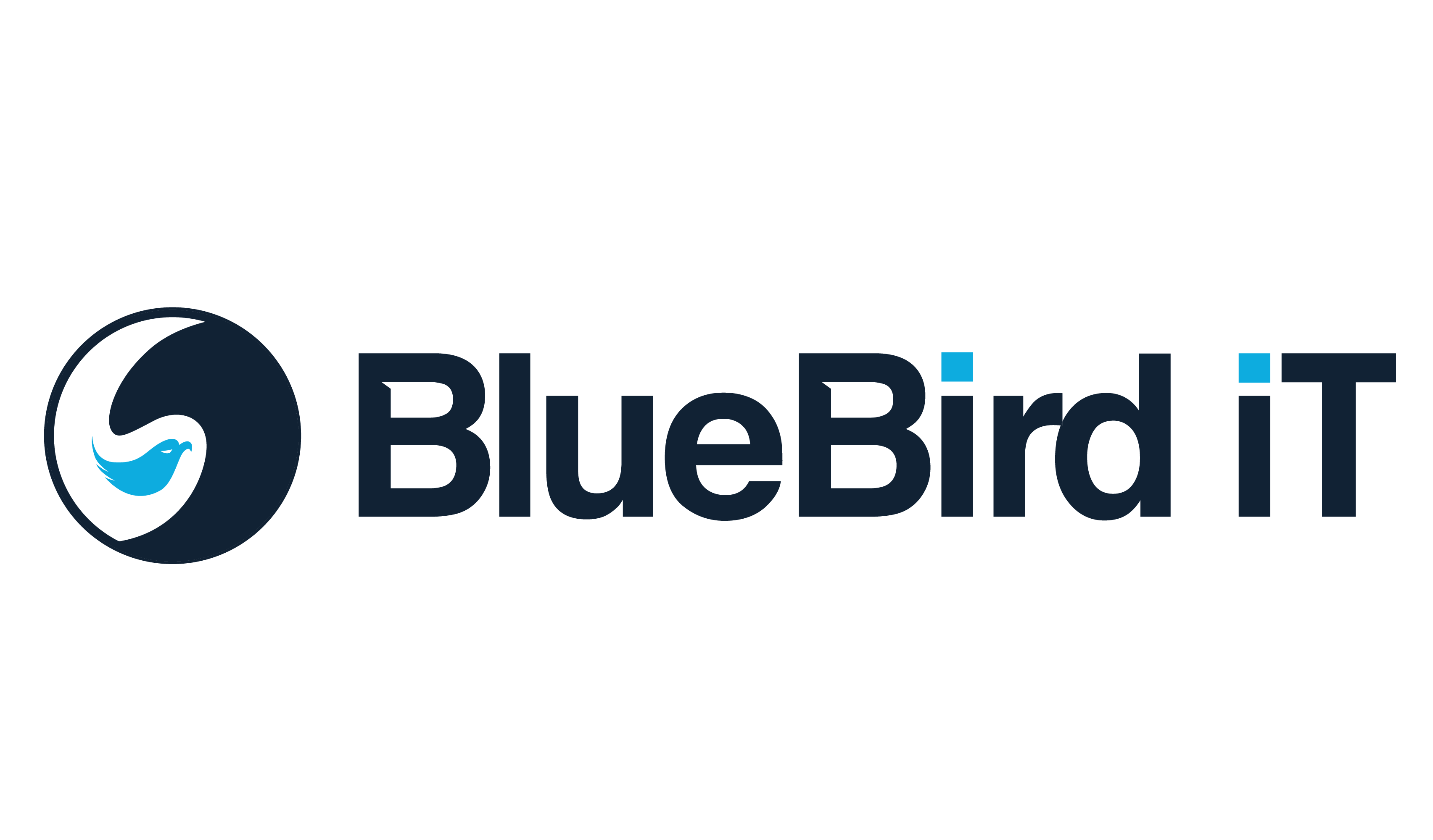 bluebird.png